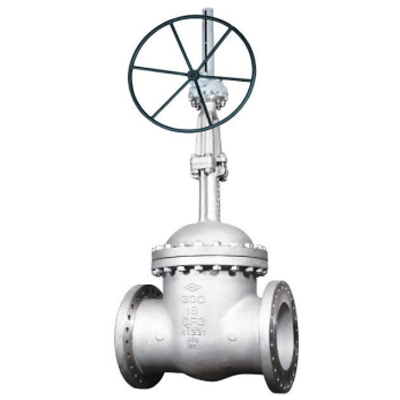 Cryogenic Gate Valve