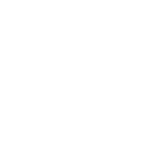 INSTRUMENT PROCESS