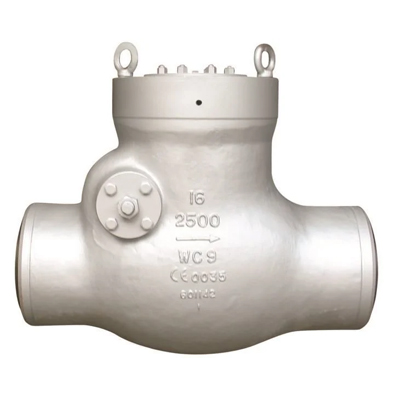 Pressure Seal Swing Check Valve