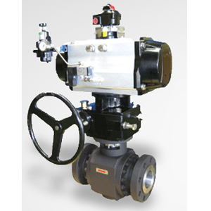 V800 SERIES High Performance Ball Valves